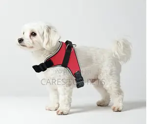 Red Saddle Harness_