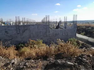 አስቸካይ የሚሸጥ መሰረት
