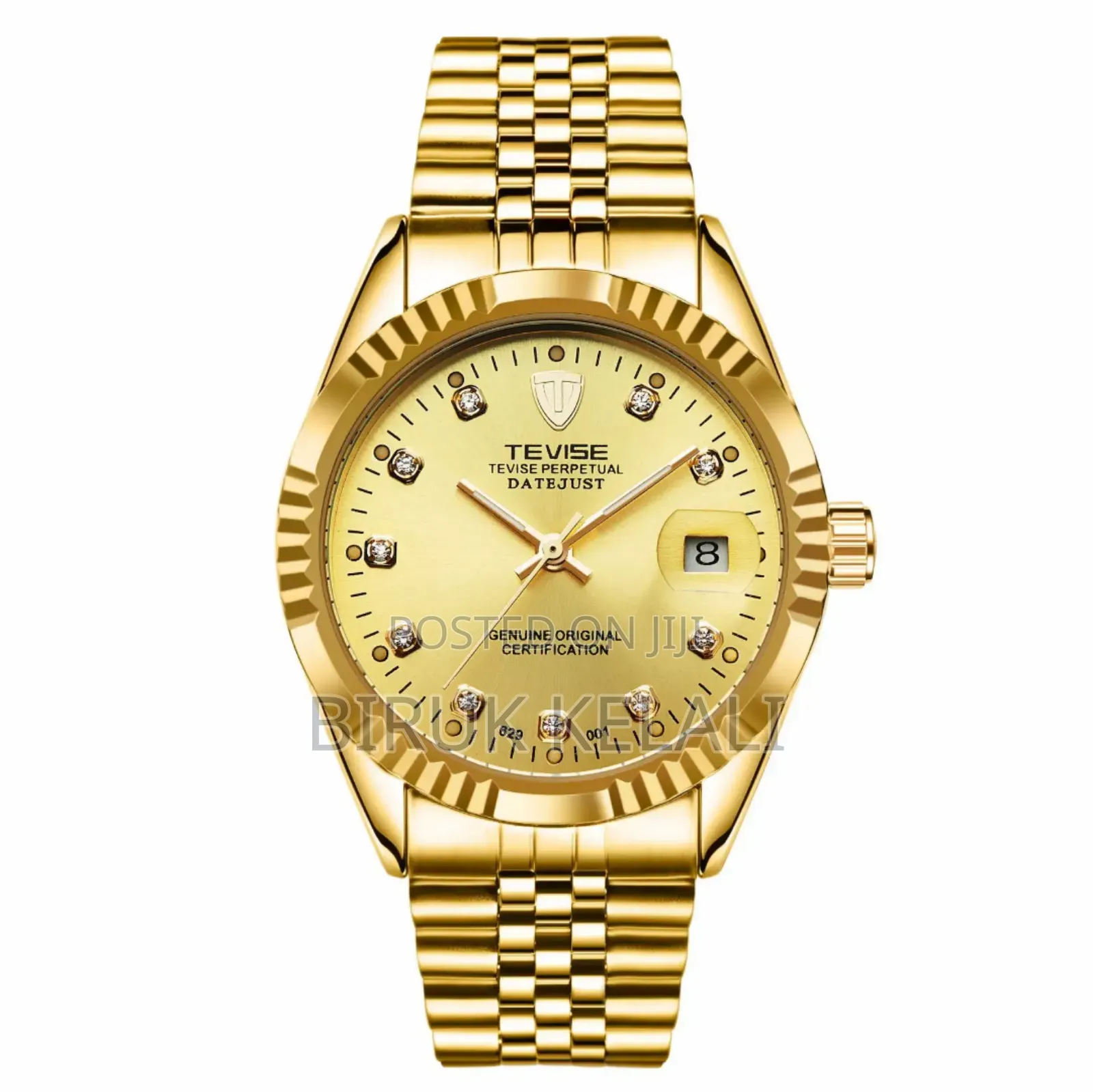 Tevise Automatic Simple Watch