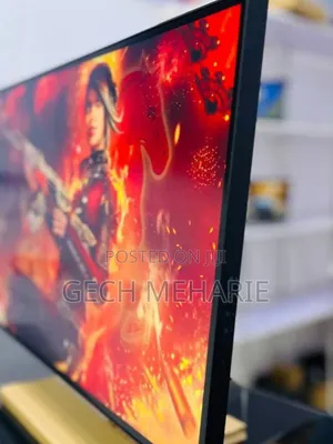 Rlenovo Thinkvision Monitor0