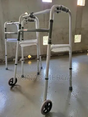 Walker፮awalker-Lightweight One-Button Aluminum Fold Walker