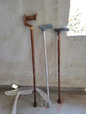 Walking Stick (Also Known as Walking Canecanewalking Staff