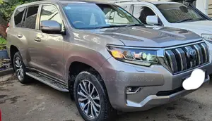 Toyota Land Cruiser 2019 Gray