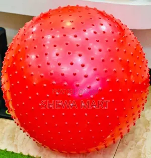 Gym Ball for Exercise