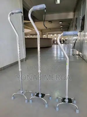 Walking Stick*፮application: Walking for the Elderly