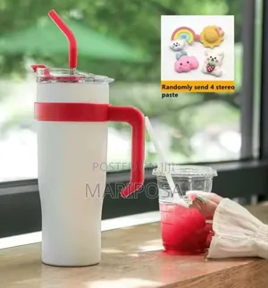 Double Layer Stainless Still Isolated Tumblers With Straw