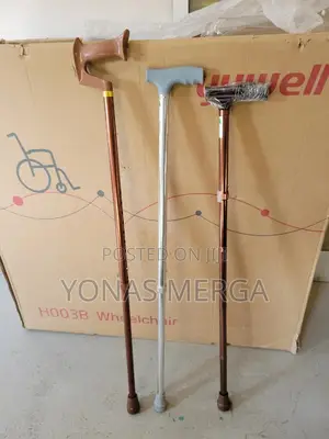 Walking Stick畛፮designed to Aid Walking, Provide Stabilityከዘራ