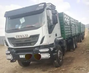 2017 ባላቶኒ ከነተሳቢው
•
 መስፍን ተሳቢ