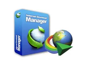 Internet Download Manager License One Year