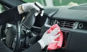 Snap Car Detail