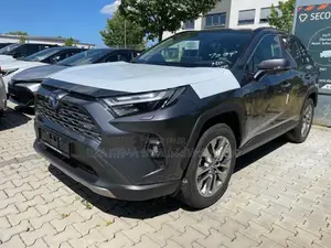 New Toyota RAV4 2024 Gray