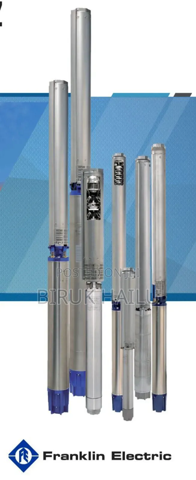 Franklin Submersible Encapsulated Pump With Motor