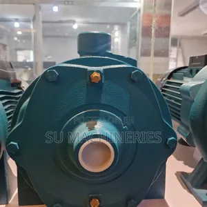 Leo Water Pump