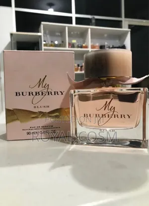My Burberry Blush Womens Perfume