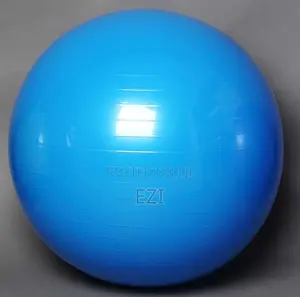 75cm Gym Ball