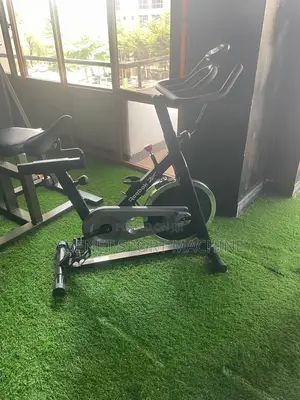 Reebok Sprint የቤት ዉስጥ የስፖርት ሳይክል