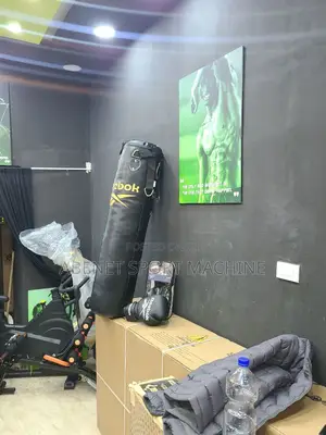 New Arrived Reebok Punching Bag