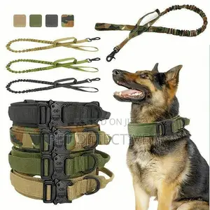 Collar for All Dogs