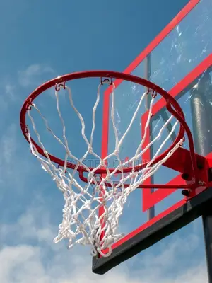 Basketball Rims White-Red Net