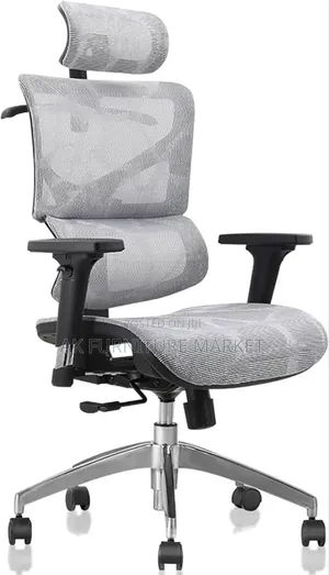 Modern Ergonmice Manager Chair