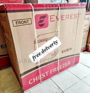 Everest 300l Chest Freezer