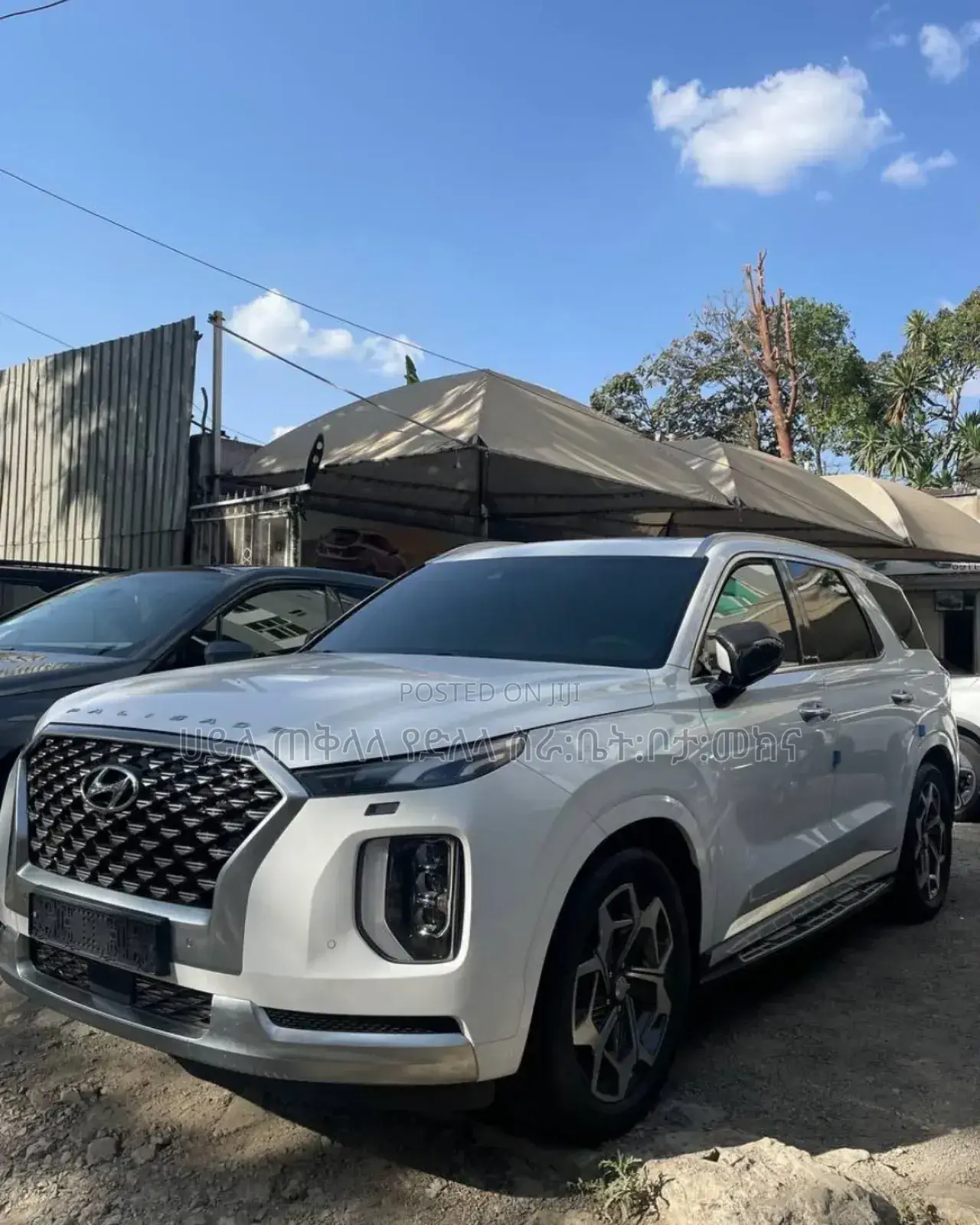 New Hyundai Palisade 2023 White