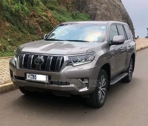 Toyota Land Cruiser 2019 Gray