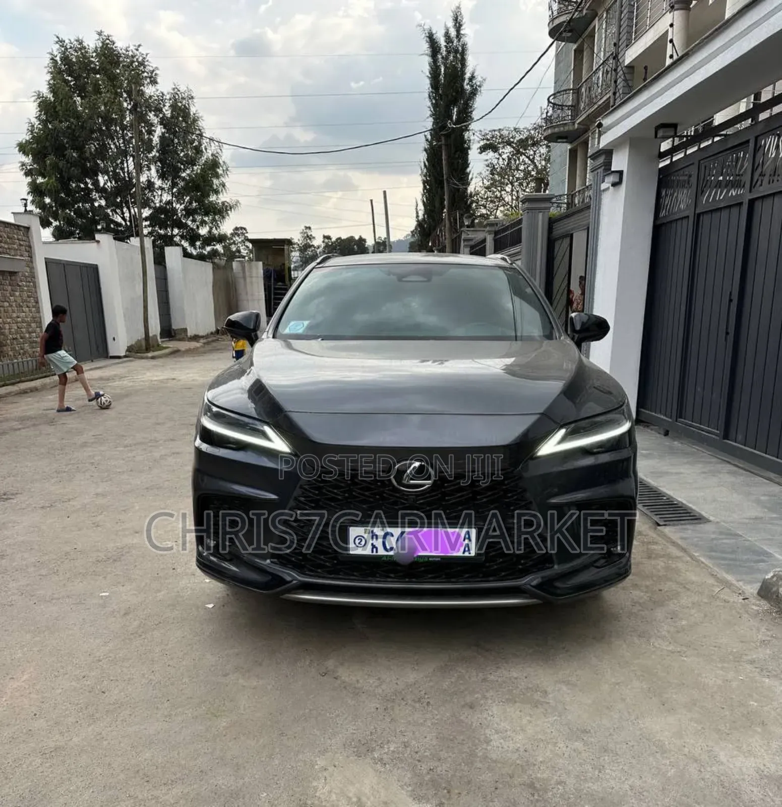 Lexus RX 2023 Gray