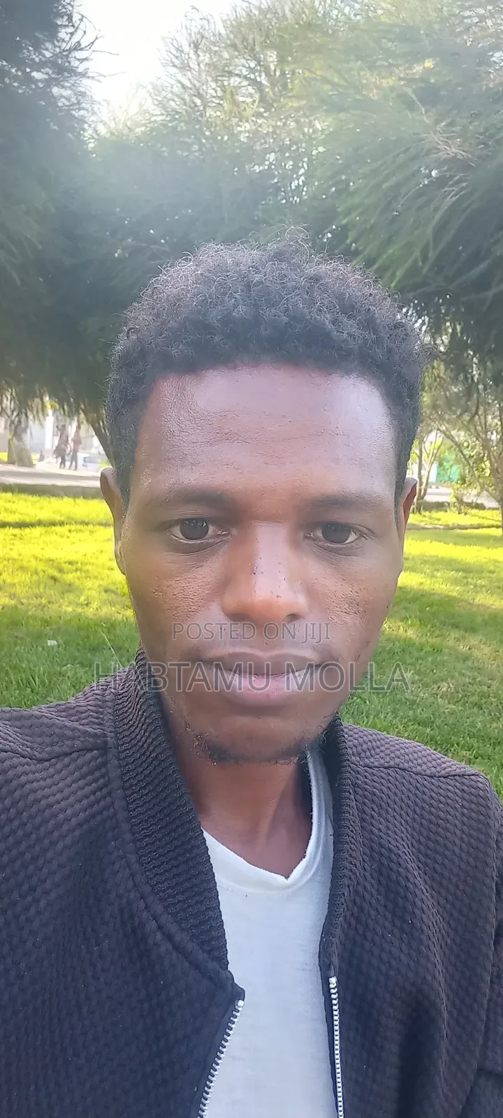 Accountant