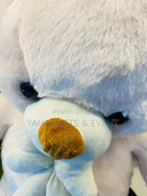 Toy  Gift Gift  Toy 