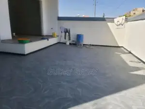 Furnished 3bdrm Mansion in Akaky Kaliti for sale