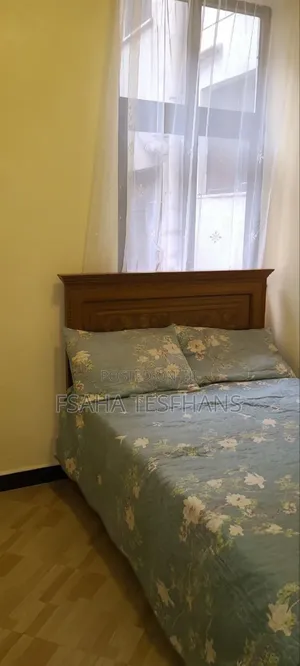 Furnished 3bdrm Apartment in Luxury Apartment , Bole for rent