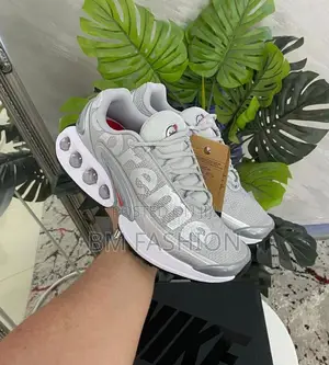 Nike Air Max Silver