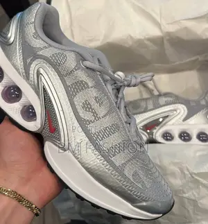 Nike Air Max Silver