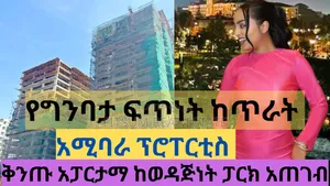 Amibara Properties