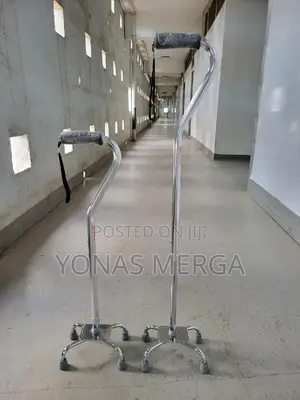 Walking Cane: A Walking Cane Primarily Serves