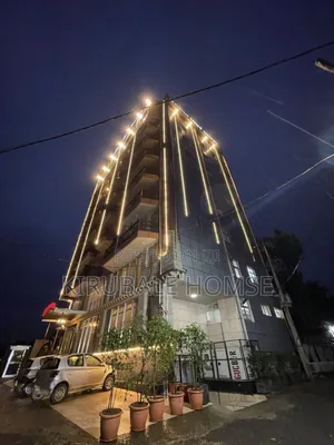 Furnished 20bdrm Apartment in Bole for rent