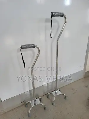 Wlakiwalking_aid፮∆Walking Stick够፮needs of D/T Height Groups