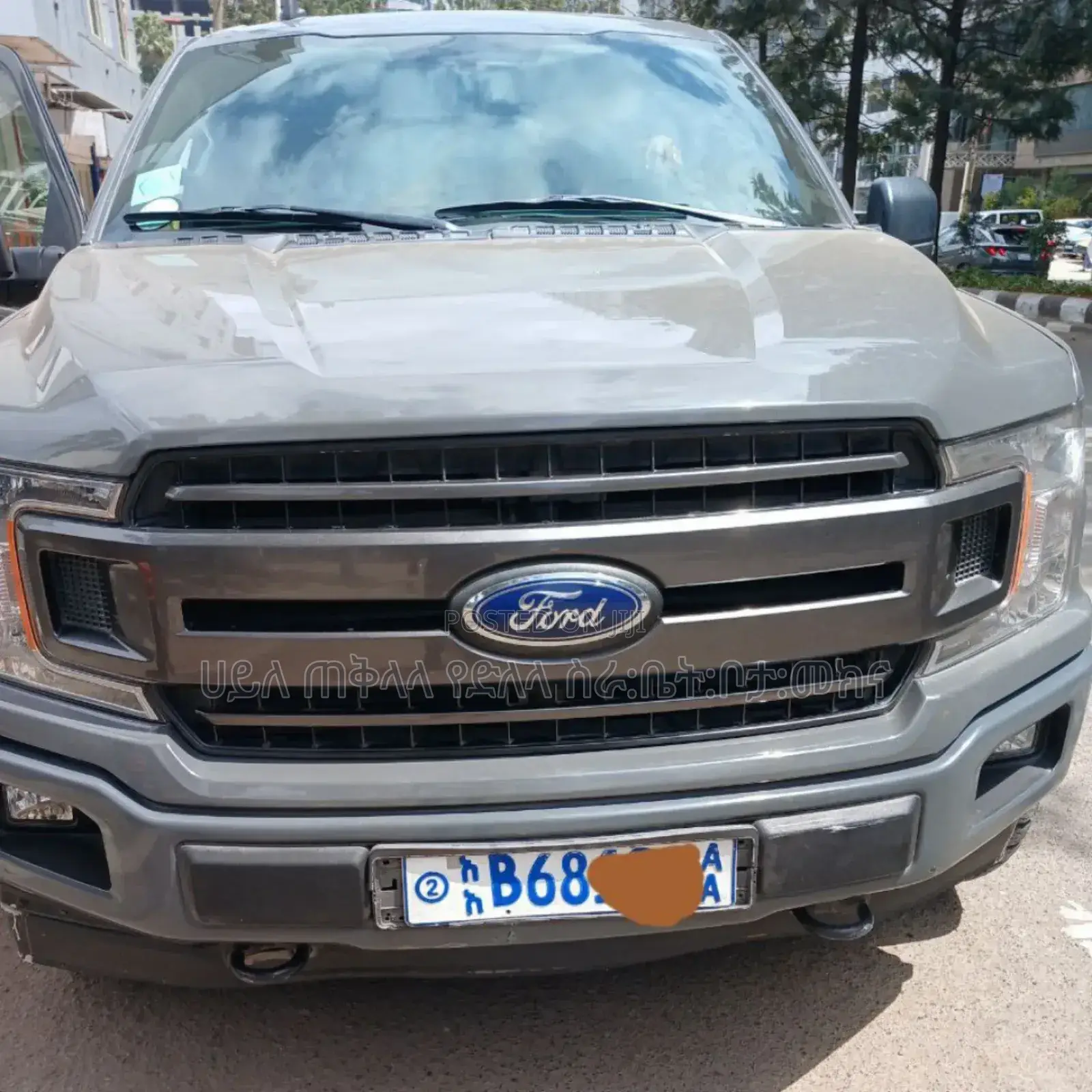 Ford F-150 2019 Beige
