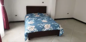 Furnished 3bdrm Apartment in Apartments, Yeka for rent