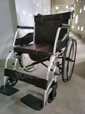 Hygienic Wheelchair°=Wheelchair፶甩wheelchair፳宏wheelchair09