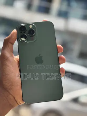 Apple iPhone 13 Pro Max 256 GB Green