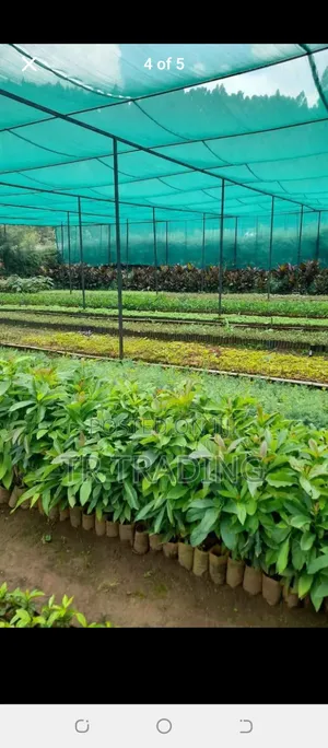 Shade and Gardening Net