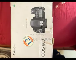 Canon 80d With 18-135 Usm Lens