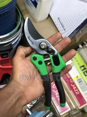Garden Scissor