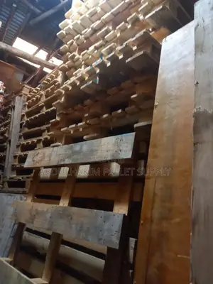 Pallet for Store