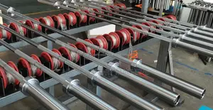ዘመናዊ Olympic Bars