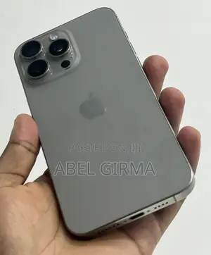 Apple iPhone 15 Pro Max 256 GB Gray