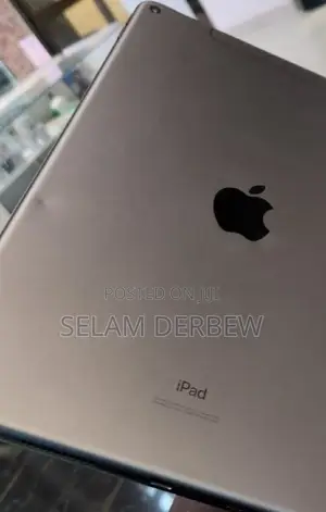 New Apple iPad Air 256 GB Gray