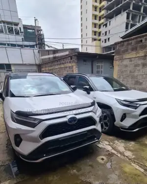 New Toyota RAV4 Hybrid 2024 White